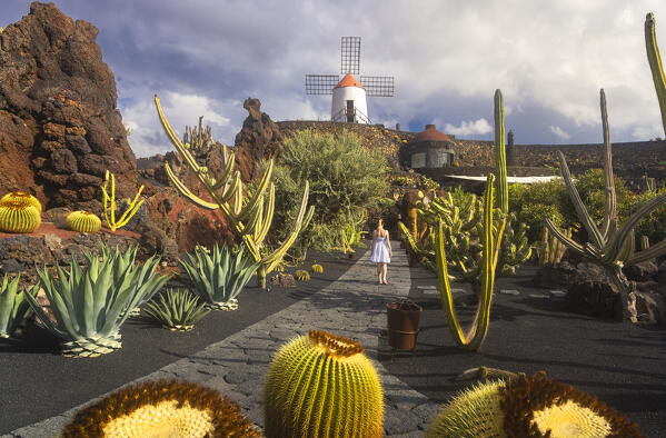 A tourist walks inside Jardim de Cactus, Guatiza, Teguise, Las Palmas, Lanzarote, Canary Islands, Macaronesia, Spain, Western Europe