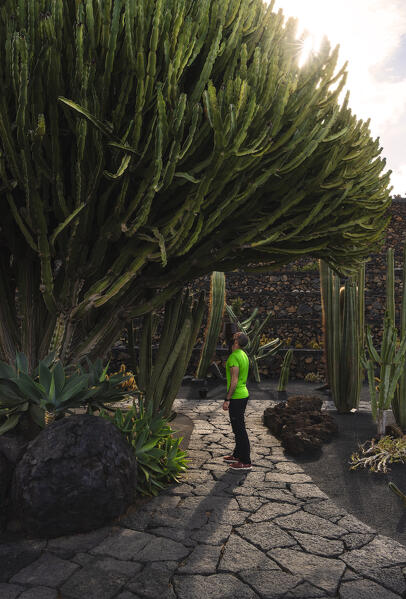A tourist observes a succulent plant inside Jardim de Cactus, Guatiza, Teguise, Las Palmas, Lanzarote, Canary Islands, Macaronesia, Spain, Western Europe