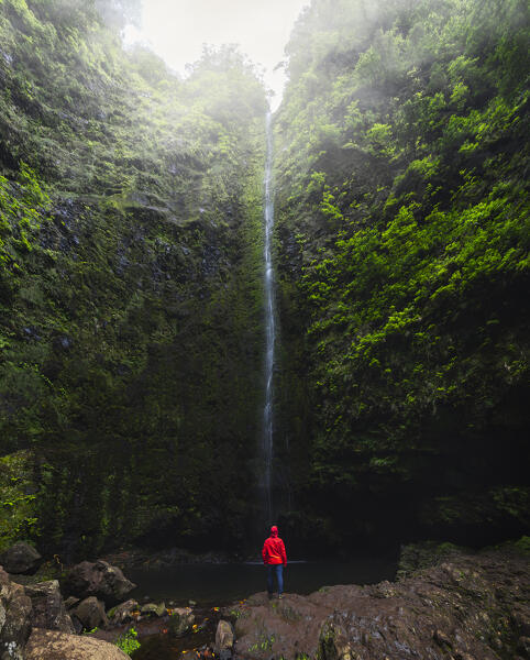 A tourist admires the beautiful waterfall of Levada do Caldeirao Verde, Sao Vicente, Parque Florestal das Queimadas, Levada do Caldeirao Verde, Madeira region, Portugal, Western Europe