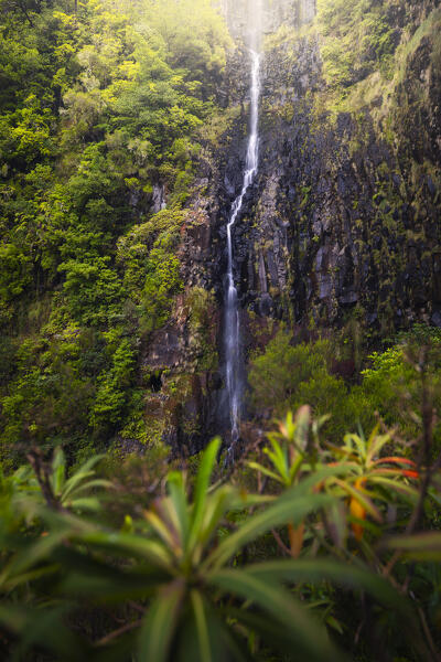The beautiful Risco waterfall during summer, Levada do Risco, Rabacal, Paul da Serra, Madeira region, Portugal, Western Europe