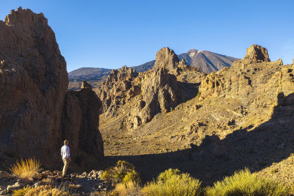 A tourist observes Roques de Garcia and Teide at sunset, Teide National Park, La Orotava, Santa Cruz de Tenerife, Tenerife, Canary Islands, Macaronesia, Spain, Western Europe