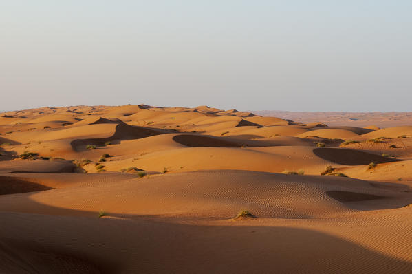 Wahiba Sands desert, Oman