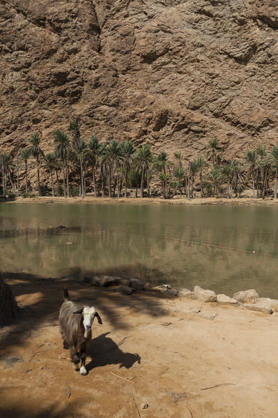 Wadi Al Shab, Oman.