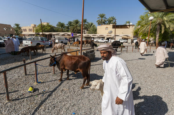 Nizwa cattle market, Oman.