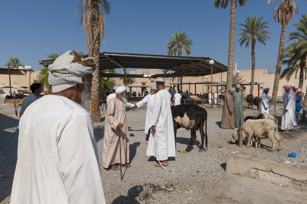 Nizwa cattle market, Oman.