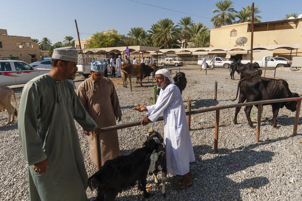Nizwa cattle market, Oman.