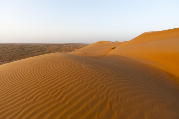 Wahiba Sands desert, Oman