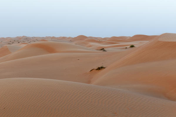 Wahiba Sands desert, Oman