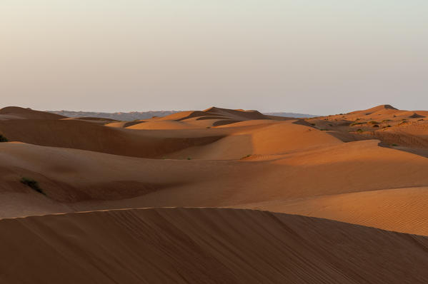 Wahiba Sands desert, Oman