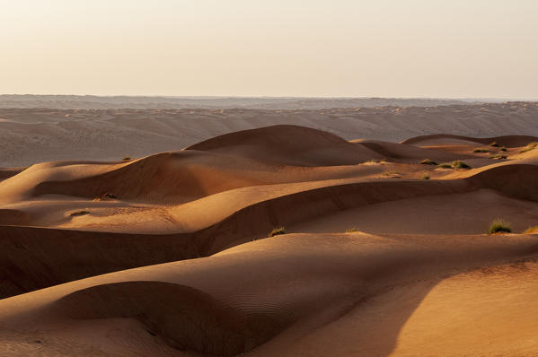 Wahiba Sands desert, Oman