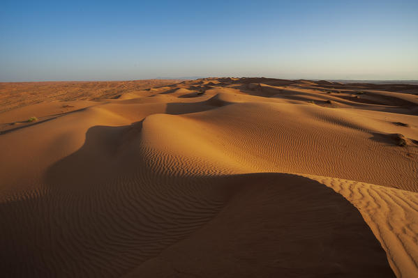 Wahiba Sands desert, Oman