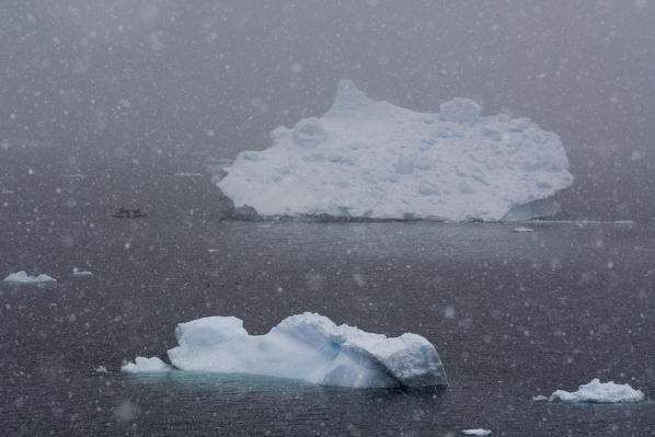 Snowstorm over icebergs in Portal Point, Antarctica.