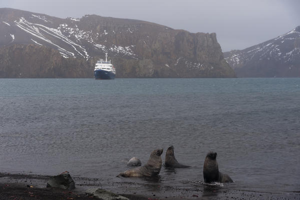 Plancius cruise ship in Deception Island, Antarctica.