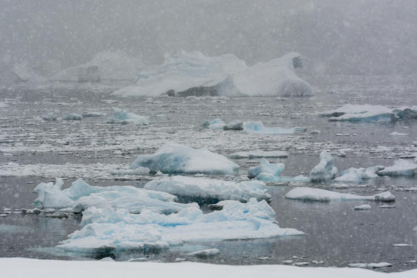 Snowstorm over icebergs in Portal Point, Antarctica.