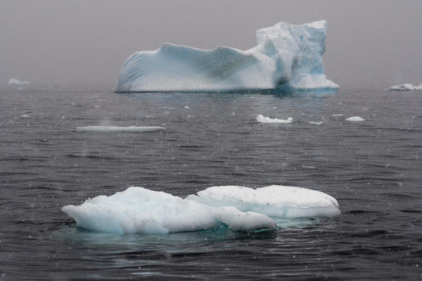 Snowfall over icebergs in Portal Point, Antarctica.