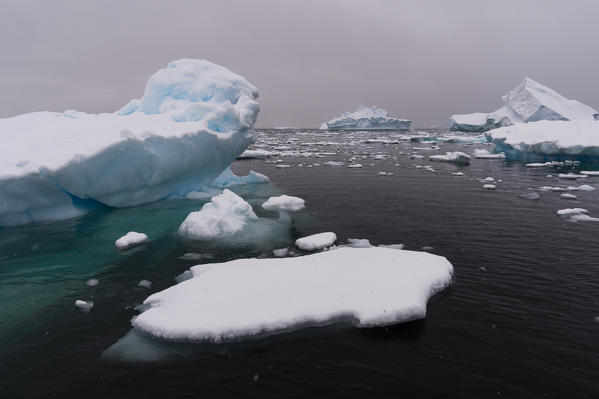 Icebergs in Portal Point, Antarctica.