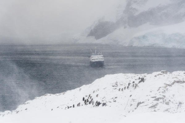 A snowstorm hits the Plancius cruise ship in Neko Harbour, Antarctica.