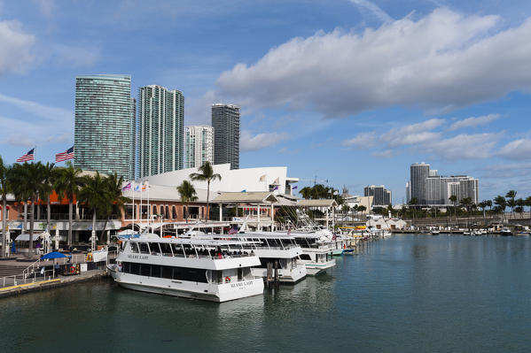 Bayside Marina, Downtown, Miami, Florida, USA.
