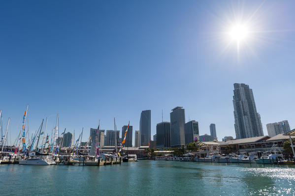 Bayside Marina and Miami skyline, Downtown Miami, Miami, Florida, USA.