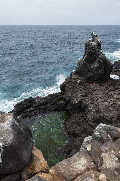 Punta Suarez, Espanola Island, Galapagos islands, Ecuador.