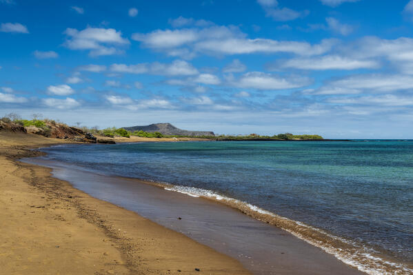 Floreana Island, Galapagos islands, Ecuador.