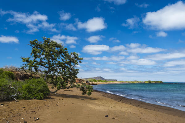 Floreana Island, Galapagos islands, Ecuador.