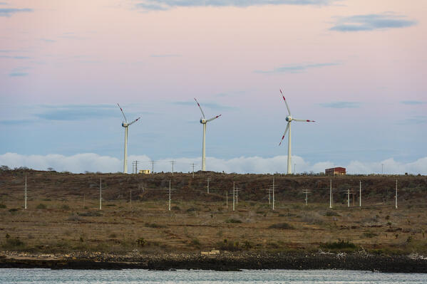 Baltra Island, Galapagos islands, Ecuador.