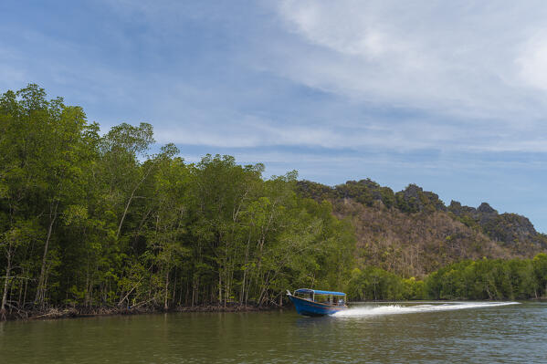 Kilim Geoforest Park, Langkawi, Malaysia.