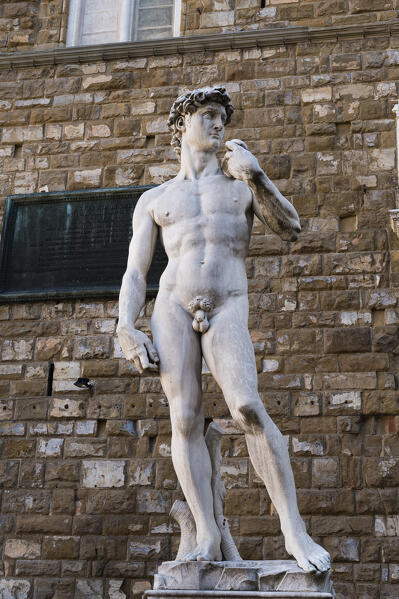 Copy of Michelangelo's David sculpture at Piazza della Signoria, Florence, Tuscany, Italy.