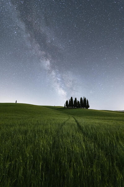 Europe, Italy, Tuscany, Val d'orcia: Milky Way and on San Quirico's Cypresses