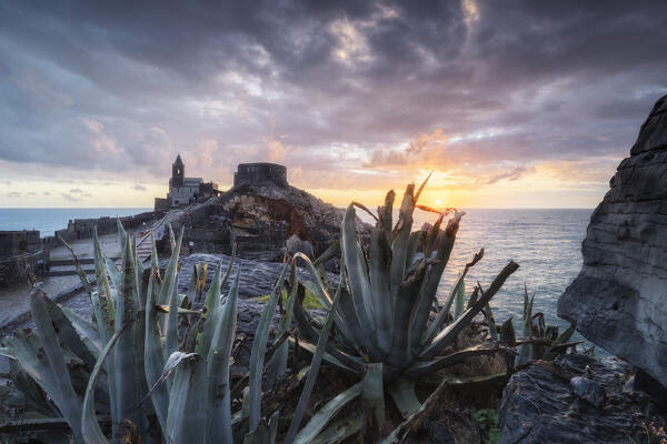 Agave in the foreground during a sunset on the San Pietro Church, municipality of Portovenere, La Spezia province, Liguria, Italy, Europe