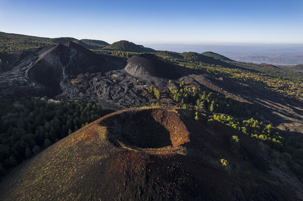 Monte Nuovo crater in the volcanic landscape surrounded by pine-tree forest against lava field, aerial morning view, Piano dei Grilli, Bronte, Catania province, Sicily, South of Italy, Italy, Europe