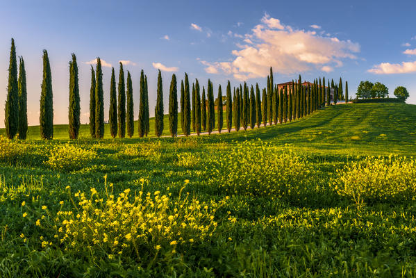 Europe. Italy. Tuscany. Siena District. Orcia Valley. Covili farmhouse at sunset