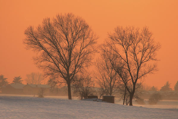 Po Valley, Piedmont, Italy. Piedmont countryside at sunset after a snowfall