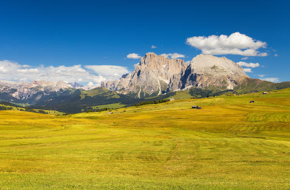 Sciliar Natural Park, Dolomites, Italy. The valley of Alpe di Siusi and the mountains of Sassolungo e Sassopiatto