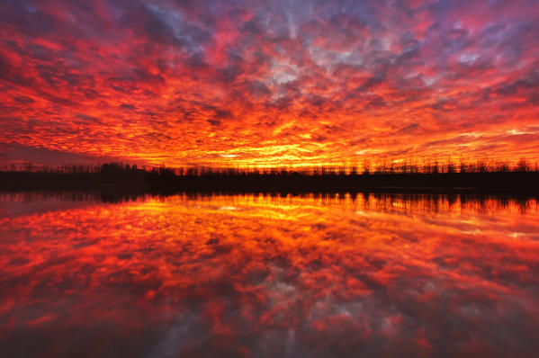 Po river park, Piedmont, Italy. Red clouds, painted by the sunrise, with a row of poplars reflected by the rivers' water.