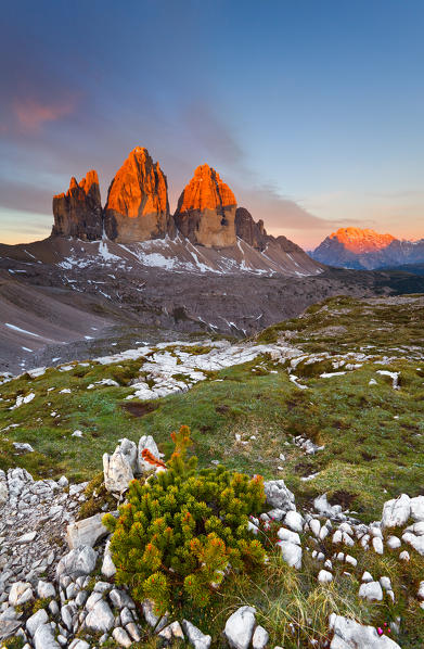 Three peaks of Lavaredo, Dolomites, Italy. The early morning colors the three peaks, in summertime.