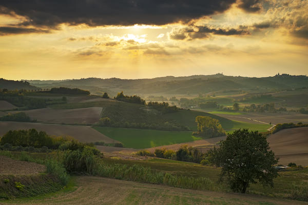 Monferrato hills,Alessandria province, Piedmont, Italy, Europe.
