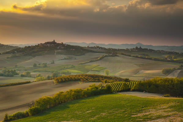 Monferrato hills,Alessandria province, Piedmont, Italy, Europe.