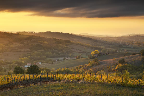 Tortona hills, Alessandria province,Piedmont, Italy, Europe.