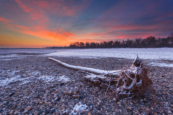 Po river park, Piedmont, Italy. Pebbles on the ground, with a dead tree in a wintertime sunrise.