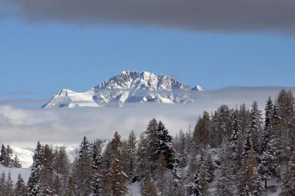 Snow covered woods, and snowcapped mountains peaking in the background, Valtellina, Lombardy, Italy