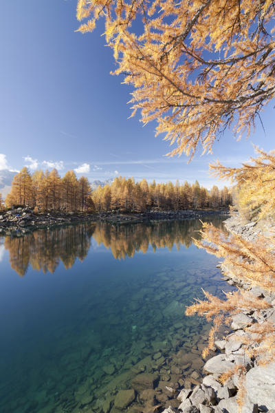 Blue alpine lake, in autumn, edged by Colourful Trees, Valchiavenna, Lombardy, Italy