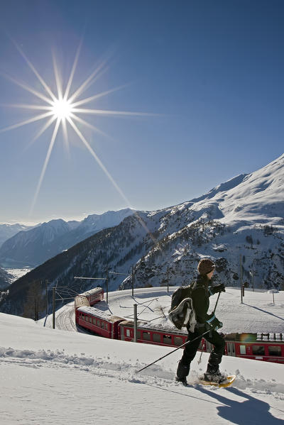 A girl walks with snowshoes along the path of the Bernina Express, in a sunny winter day. Swiss alps, Switzerland