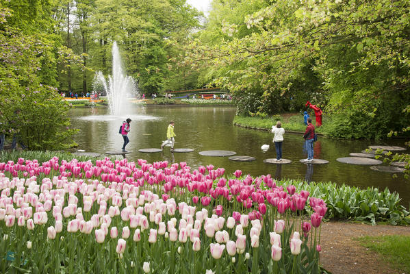 Blooms of flowers at Keukenhof Park in the Netherlands. This park is considered the largest bulb flower park in the world.