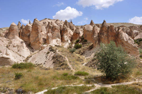 In Kapadokia, Turkey, the area of the Devrent Valley you can see these rock formations typical with this rosy color.