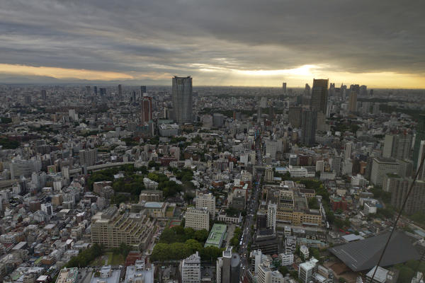 A panoramic view of the central area of the city of Tokyo with the skyscraper of Mori, in the sunset. Japan