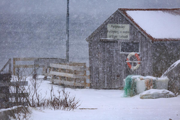 Fishing cabin on Mefjordbotn under a heavy snowfall, troms, senja, nordland, norway, europe