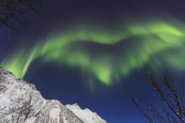 Northern lights (aurora borealis) at Mefjorden fjord, Berg in Troms, Norway, Senja, nordland, norway, europe