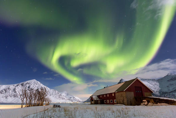Northern lights (aurora borealis) over a barn at Flakstad, lofoten islands, nordland, norway, europe